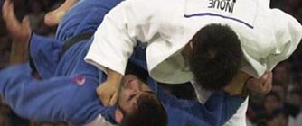 Fighting Style Judo