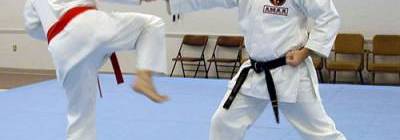 Fighting Style Karate